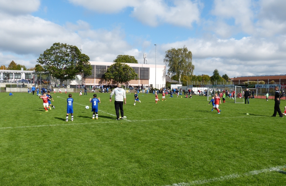 F-Junioren-Spieltag In Kleinsachsenheim - TSV Kleinsachsenheim